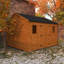 10 ft. W x 12 ft. D Solid Wood Shiplap Apex Garden Shed