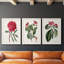 Ensemble de 3 peintures sur toile Roseat Blooms IV-1642987165-1642987162