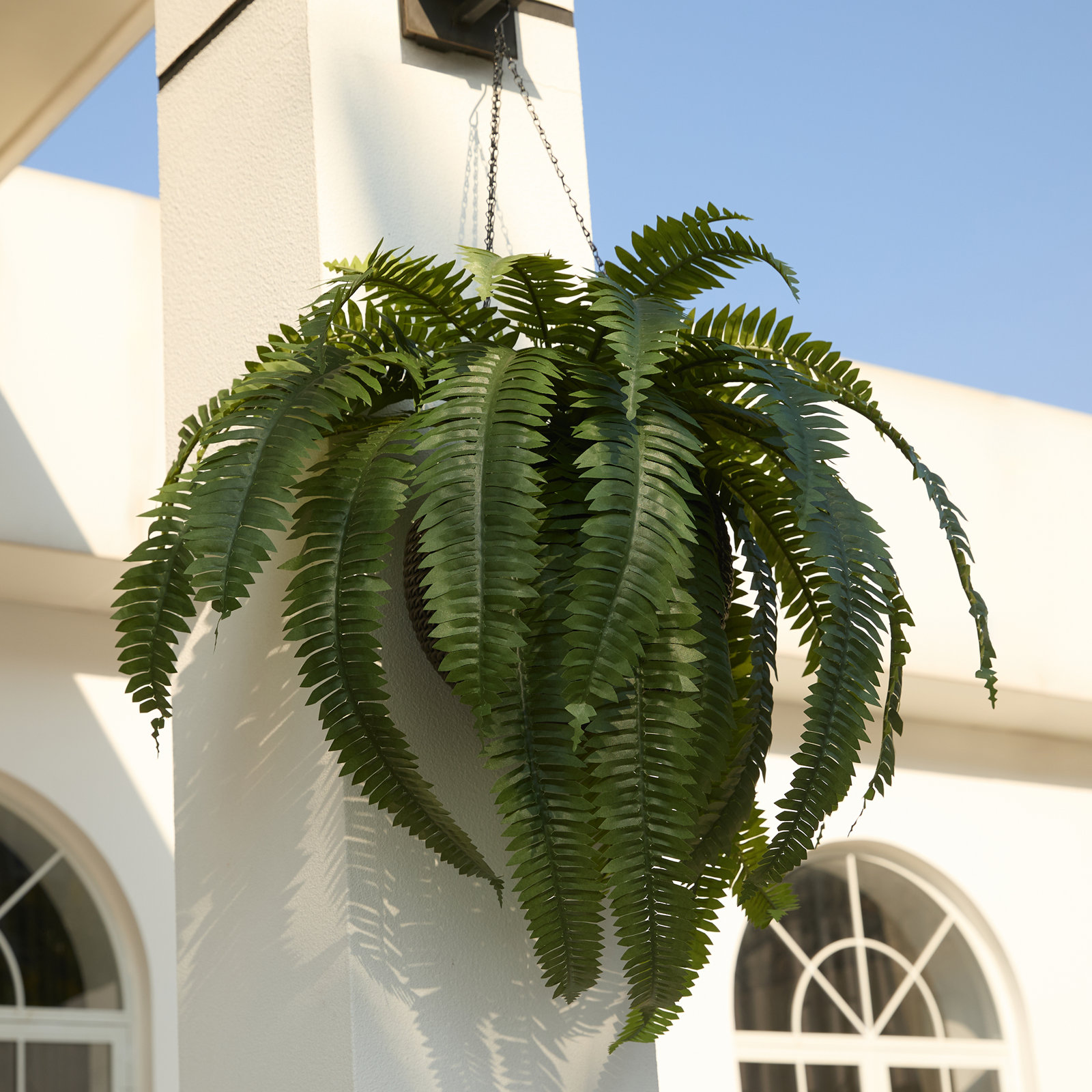 Adcock 30" Fern Plant in Basket, 1
