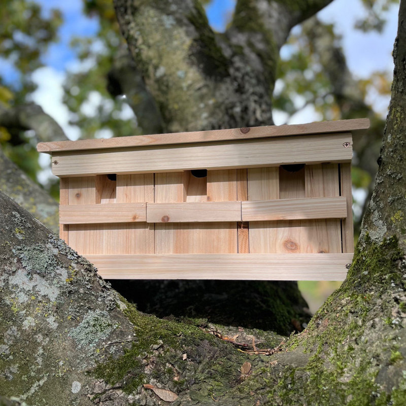 Carwile Traditional Birdhouse