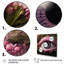 «Pink Vision Eye With Magical Pupil», reproduction d'art sur toile-191546153-191546152