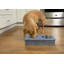 Mangeoire surélevée Sassy Paws-41179308