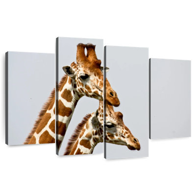 Brampt, girafes de Somali
