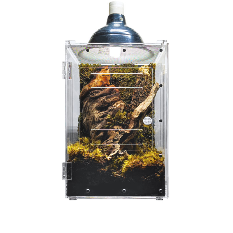 Acrylic Reptile Terrarium, 7 Gallon - 16"H x 10"W x 10"D