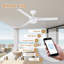 Ventilateur de plafond intelligent à 3 pales intérieur / extérieur avec lumière DEL, télécommande et contrôle WiFi / Alexa, moteur à courant continu silencieux, à intensité variable, pales réversibles-112578524-112578525