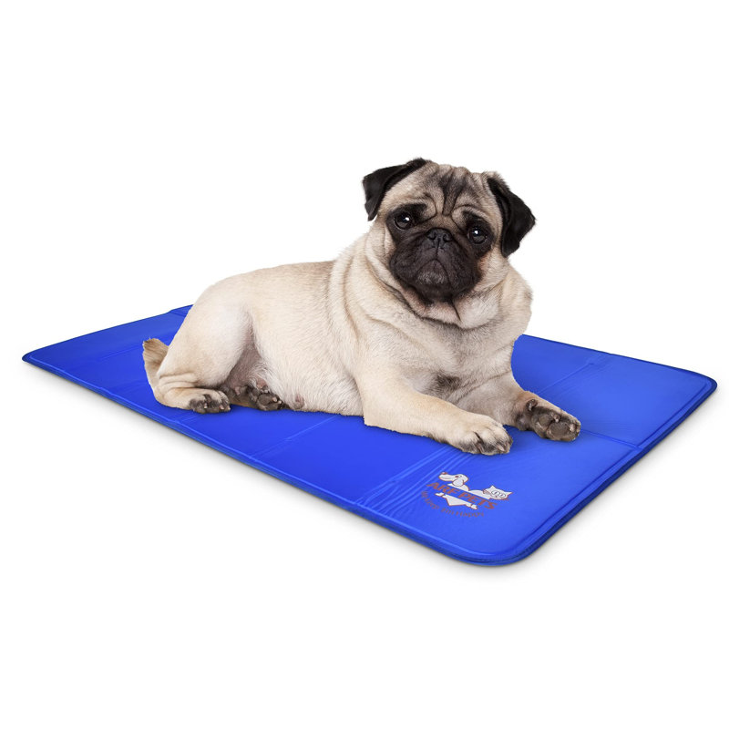 Tapis pour chien Audreigh, Moyen (l 35 po x P 23 po x H 0,5 po)