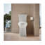 Toilette allongée deux pièces avec siphon à jupe Corbelle-90327046-90327047