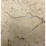 6'' x 6'' Compressed Stone Decorative Accent Tile