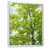 Cadre flottant blanc
