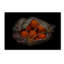 « orange on black », reproduction de photo sur toile tendue-22373263