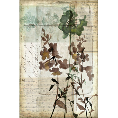 Music Box Floral II by Jennifer Goldberger - Wrapped Canvas Print