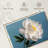 Harnek White Peony Flower-108730607