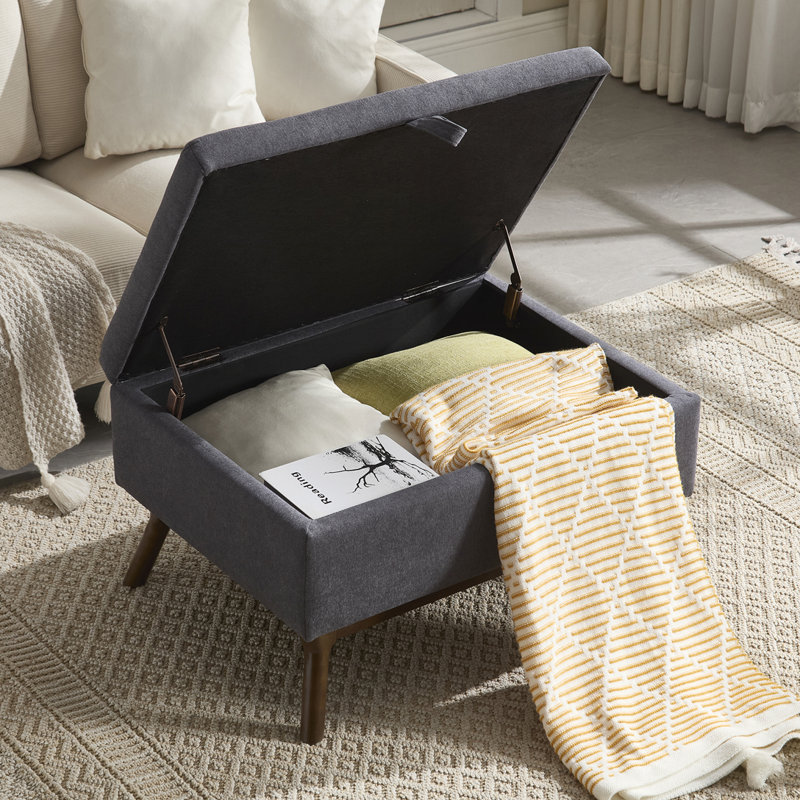 Table basse avec rangement, repose-pieds, Foncé foncé