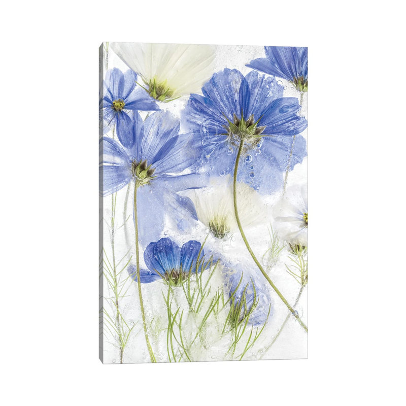 Cosmos Blue by Mandy Disher - Wrapped Canvas Painting, 20.32 cm H x 30.48 cm W