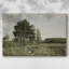 Paysages rétro-DCXLIV -Galerie enveloppée Cavas-1374631354