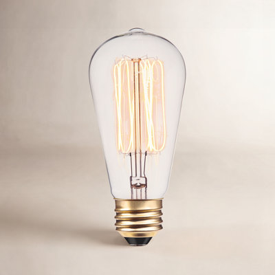 Lyle 60 Watt Dimmable Clear Bulb