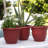 Ariana Self-Watering Indoor/Outdoor Pot Planter Bundle-32171084-28048587-28112889