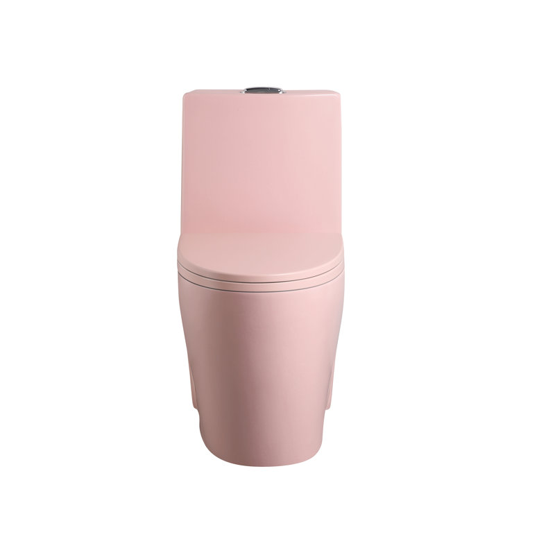 Small Compact One Piece Toilet Dual Flush, Pink Flower