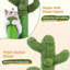 Grattoir route avec griffoir et cactus-2095802165