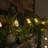 210'' LED String Lights