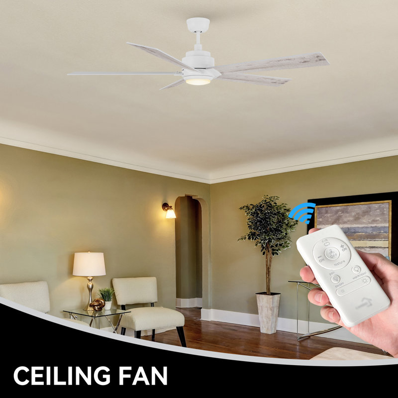 Ventilateur de plafond avec lumière Liandro, Blanc / bois clair