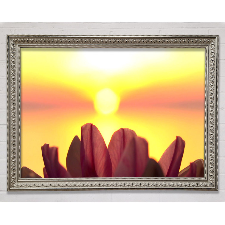 Life Source - Single Picture Frame Print