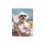 «Beach Maltese Dog», art mural sur toile sans cadre 24 po x 32 po