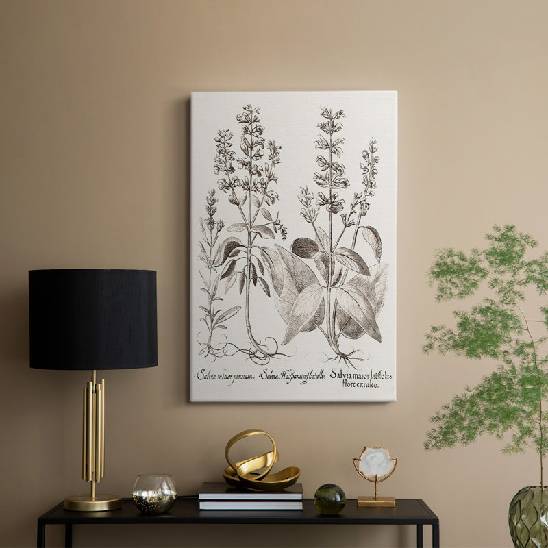 Sépia Besler Botanicals III - galerie sur mesure Cavas