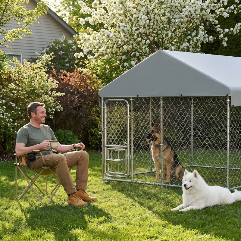 Dog House