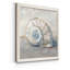 Blue Shell Study III-impression de cadre photo sur papier-145096515-145096526