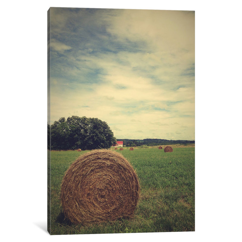 « the ball », reproduction de photo sur toile tendue, H 26 po x l 18 po x P 1,5 po