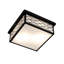2 - Light Flush Mount