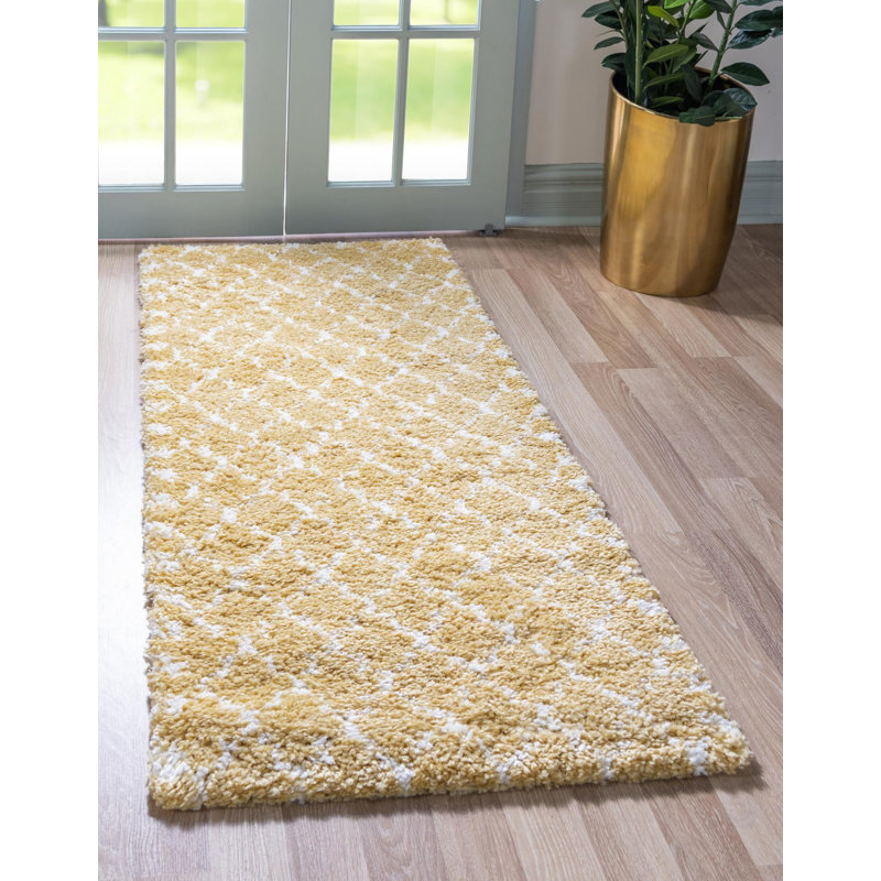 Burkart Shag Area Rug, Runner 79 x 183cm