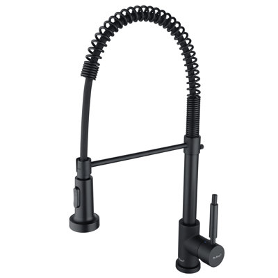 Pia Ricco Pull Down Kitchen Faucet