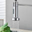 Belfry Kitchen Rydal Pull Down Kitchen Faucet