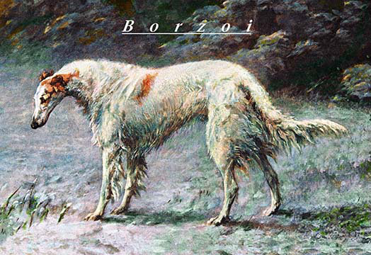 Champion Champion Barzoi, impression, H 24 po x l 36 po x P 1,5 po
