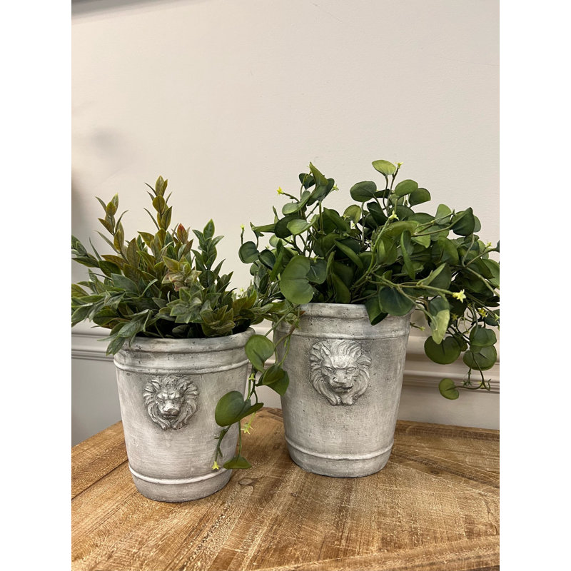 Lion Head Concrete Pot Planter, 7.5" H x 7.3" W x 6.7" D