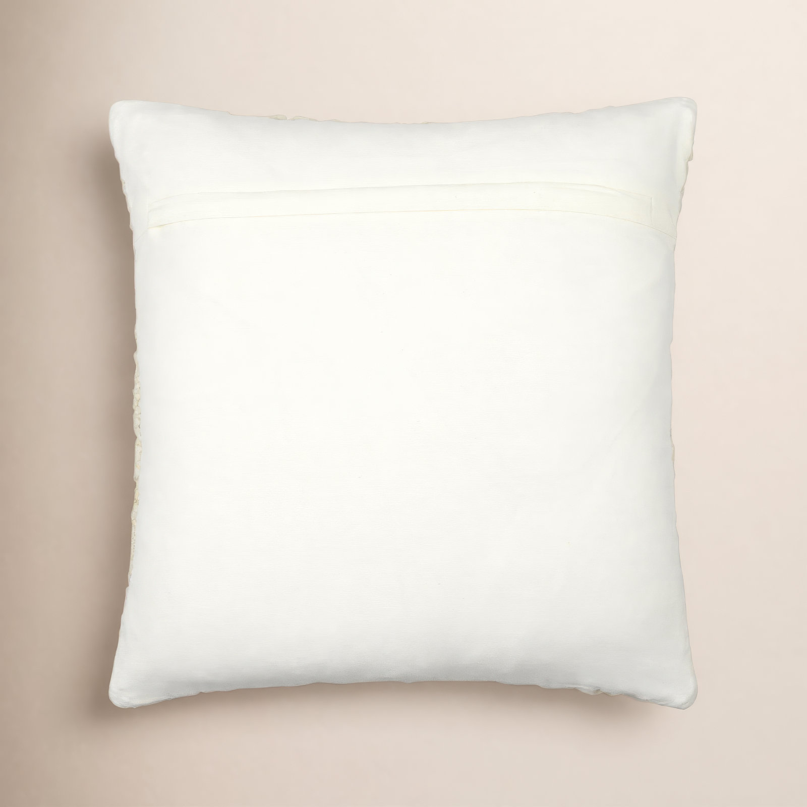 Blakesley Throw Pillow, Polyester/Polyfill, 22" x 22"