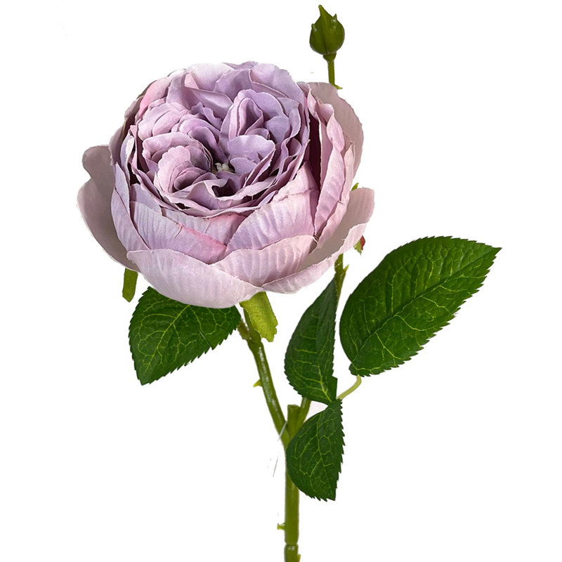 Arrangement de roses, Lavande