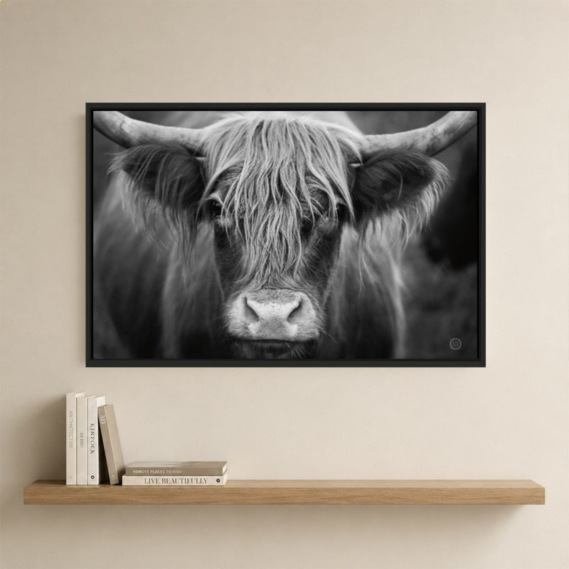 «Cow Nose BW» par Nathan Larson - Impression sur toile, 28" H x 40" W, Black