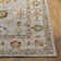 Inya Oriental Indoor Rug