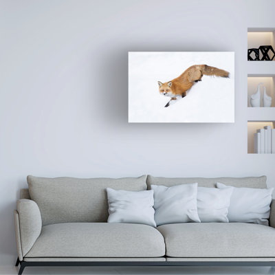 Bolog Mircea Costina  Mr Sly Canvas Art