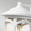 Hollydale White Outdoor Wall Lantern-307935954