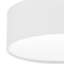Parvin Flush Mount-1220517389