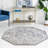 Oriental Indoor Rug-1708479675