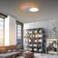 LED Flush Mount