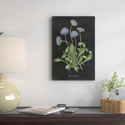 « botanique chart vii », impression sur toile tendue