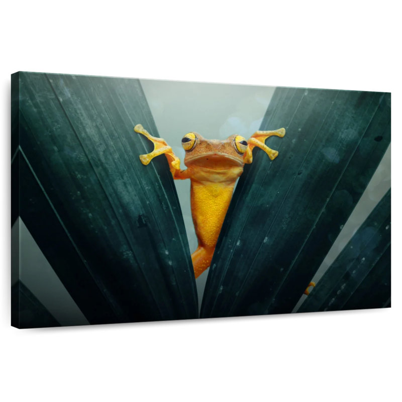 Grenouille jaune ronce, H 16 po x l 24 po