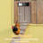 Automatic Chicken Coop Door Solar Powered, LCD Display Automatic Chicken Door with Timer & Light Sensor, Aluminum Alloy Chicken Door with Remote Control & 4 Modes-1103447994