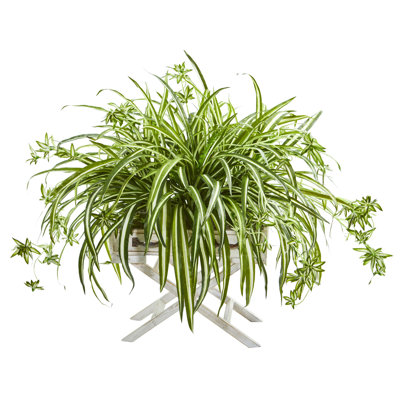 35'' Faux Foliage Plant in Wood Planter